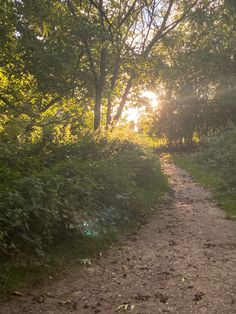 the sun shines through the trees on a dirt path