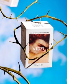 a box that is sitting on top of a tree branch with the word viqv1 in front of it