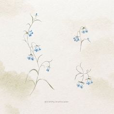 some blue flowers on a white background with watercolor paint stains and the words cherry blossom written in chinese