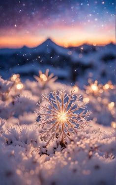 a snowflake that is sitting in the snow