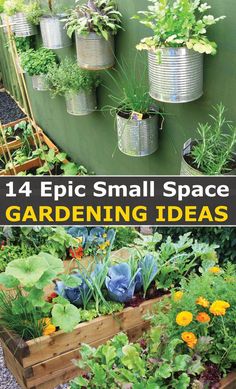 You have 14+ Small Space Gardening Ideas to Execute Yes, having bigger allotment space or large tracks of land is a major boost to any aspiring or experienced gardener.  But that doesn’t mean you need to wait until you’ve got huge gardening space or bountiful resources to finally reduce your food bills by growing own food, decrease your carbon footprint, and eating healthier!  You can start small space gardening right now, even if you don’t have the adequate space, great skills and experience. Small Space Gardening Ideas, Raised Container Garden, Allotment Gardening, Eating Healthier, Inside Plants, Outdoor Gardens Design, Small Outdoor Spaces, Garden Oasis