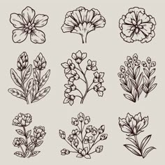 different types of flowers drawn in black and white on a gray background stock photo - budget conscious