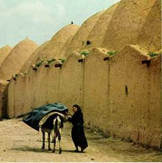 a woman standing next to a horse near a wall