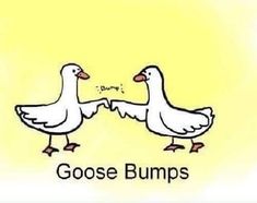 Goose Bumps, Punny Puns, Apple Strudel, Animal Puns, Love Puns, Fun Cards, Corny Jokes, Cute Puns, Puns Jokes