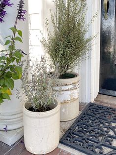 two planters sitting next to each other in front of a door