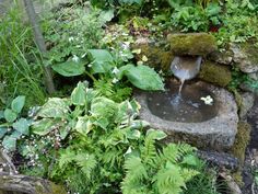 a small fountain in the middle of a garden filled with green plants and rocks, surrounded by greenery