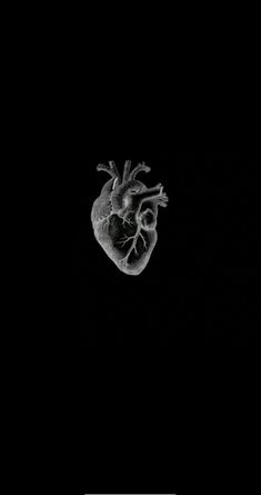 a black and white photo of a human heart