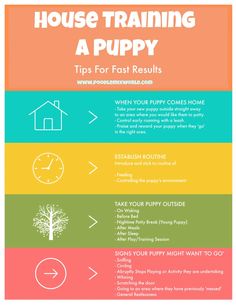 the house training guide for puppy puppies is shown in this image, and includes instructions to