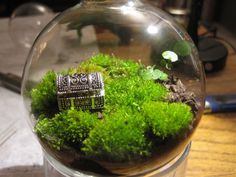 a glass ball with moss inside sitting on a table