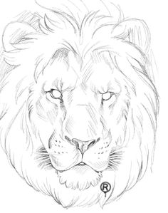 a drawing of a lion's face