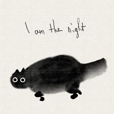 a black cat with the words i am the night written on it's back