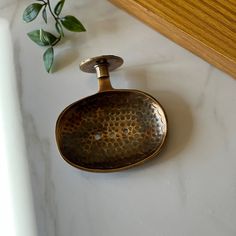 a brass soap dispenser sitting on top of a counter next to a plant