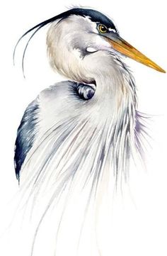 a watercolor painting of a white heron