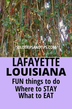 the words lafayette lousianna fun things to do where to stay what to eat