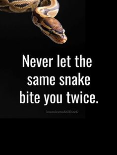 a snake with the caption never let the same snake bite you twice