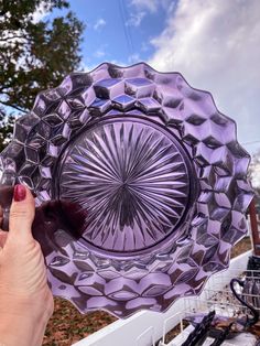 a person holding a purple glass plate in their hand