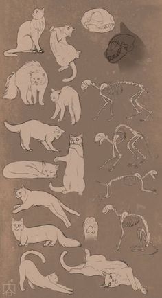 an image of cats and other animals in sepia