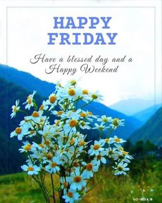 a bouquet of daisies is in front of a mountain scene with the words happy friday have a blessing day and a happy weekend