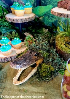 there are many cupcakes in the shape of crocodiles on display with moss