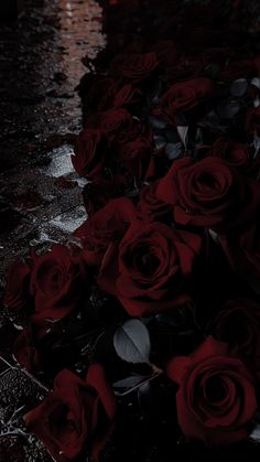 a bunch of red roses sitting on top of a wet ground next to a street