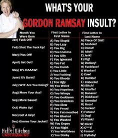 the gordon ramsay insult is shown in this ad for his new album, what's your gordon ramsay insult?