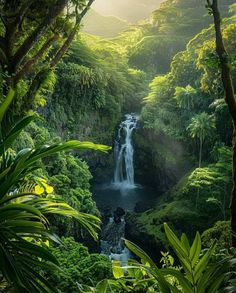 a waterfall surrounded by lush green trees in the jungle