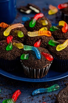 chocolate cupcakes with gummy worms on top