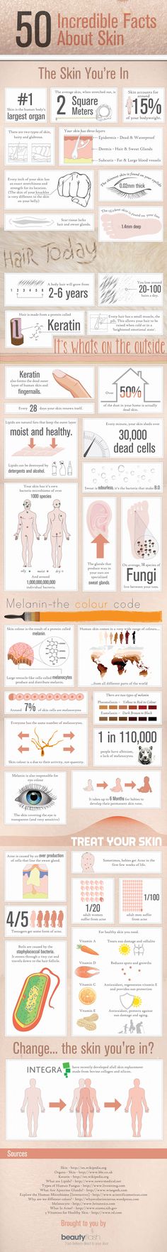 Here is a very interesting infographic from UK online beauty shop Beauty Flash with 50 interesting facts about the skin you are in. Skin Anatomy, Info Board, Beauty School, Organic Skin, Dry Brushing