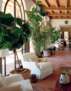 a living room filled with white furniture and lots of green plants on the wall next to it