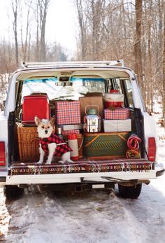 a dog is sitting in the back of a car filled with presents and gifts for christmas