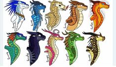 the different types of seahorses are depicted in this drawing