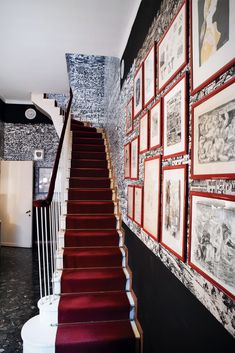 red carpeted stairs with pictures on the wall