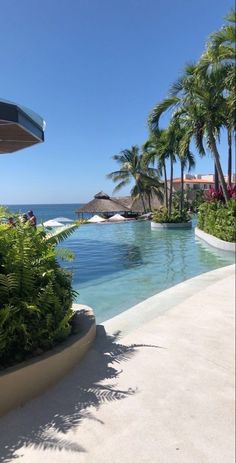 an empty swimming pool surrounded by palm trees