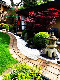 a garden with rocks and plants in it