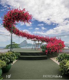 red flowers are growing on the top of a balcony with green plants and potted trees