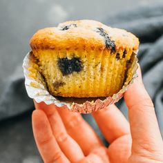 a person holding a blueberry muffin in their hand