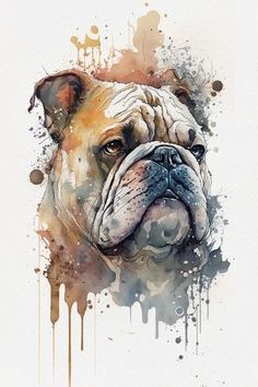 a dog is shown with watercolor paint splattered on it's face