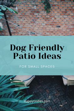 the words dog friendly patio ideas for small spaces