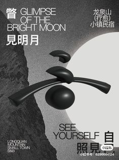 the poster for glimpse of the bright moon is shown in black and white, with an abstract