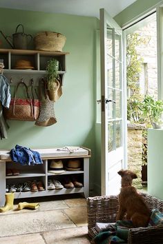 a dog sitting on the floor in front of a green wall with baskets and shoes