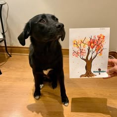 a black dog is sitting on the floor and looking up at a card with an image of a tree