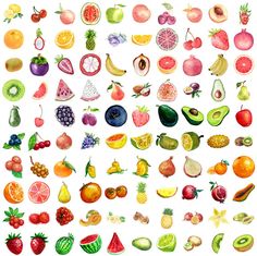 an image of various fruits and vegetables painted in watercolor on white paper by hand