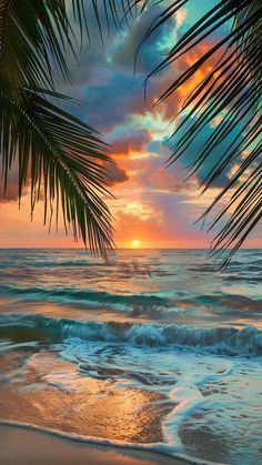 the sun is setting over the ocean with palm trees in foreground and waves crashing on the beach