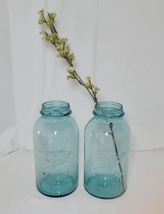 two blue mason jars with one holding a twig and the other holding a stick