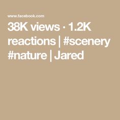 the text reads, 28k views 1 2k reactions [ scenery ] jared