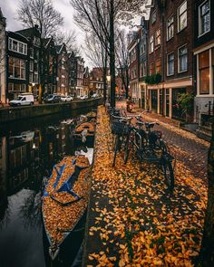 boats are lined up along the side of a canal with autumn leaves on the ground