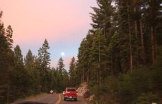 a red car driving down a road next to tall pine trees and a full moon