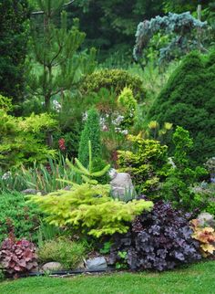 a garden filled with lots of different types of plants and trees in the middle of it