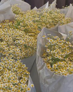 several bags filled with white and yellow flowers