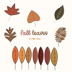 the fall leaves clipart set is shown in various colors and sizes, including brown, orange